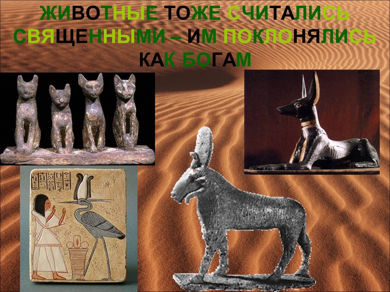 ЖИВОТНЫЕ ТОЖЕ СЧИТАЛИСЬ СВЯЩЕННЫМИ – ИМ ПОКЛОНЯЛИСЬ КАК БОГАМ